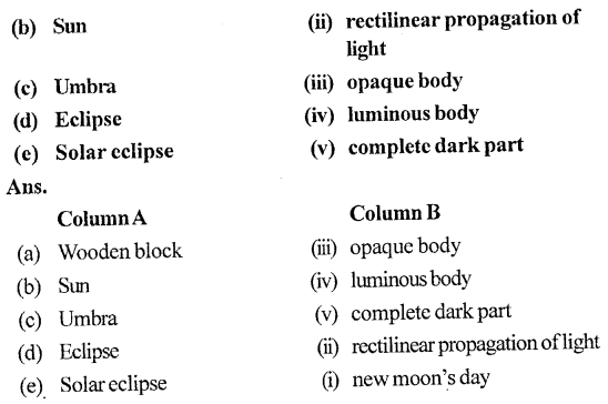 Selina Concise Physics Class 6 ICSE Solutions Chapter 5 Light 2