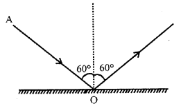 Selina Concise Physics Class 7 ICSE Solutions Chapter 4 Light Energy 12