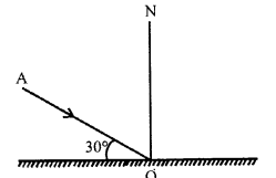 Selina Concise Physics Class 7 ICSE Solutions Chapter 4 Light Energy 13