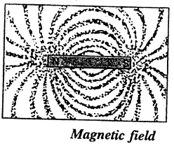 Selina Concise Physics Class 7 ICSE Solutions Chapter 7 Electricity and Magnetism 8