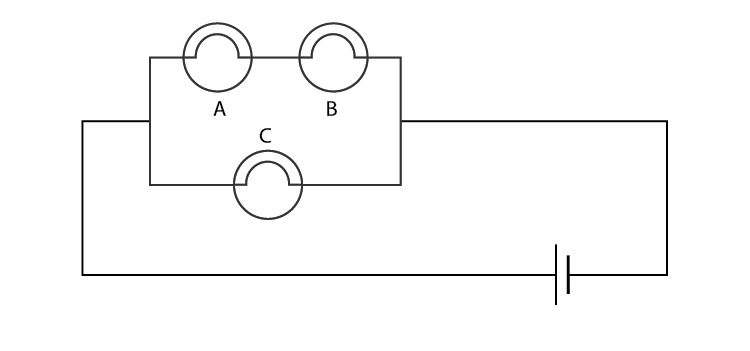 Lakhmir Singh Solutions Class 10 Physics Chapter 1 Electricity-45