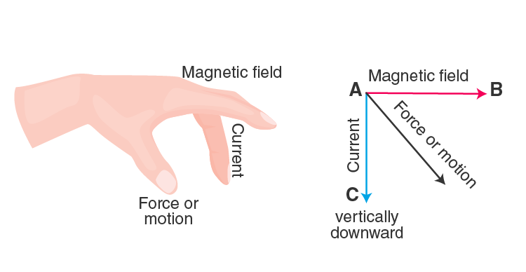 Lakhmir Singh Solutions Class 10 Physics Chapter 2 Magnetic Effects Of Electric Current-12