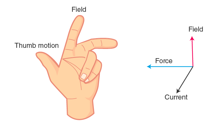 Lakhmir Singh Solutions Class 10 Physics Chapter 2 Magnetic Effects Of Electric Current-20