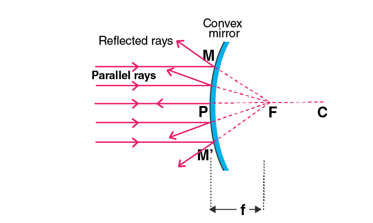 Lakhmir Singh Solutions Class 10 Physics Chapter 4 Reflection of Light-13