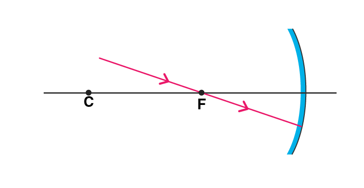 Lakhmir Singh Solutions Class 10 Physics Chapter 4 Reflection of Light-14