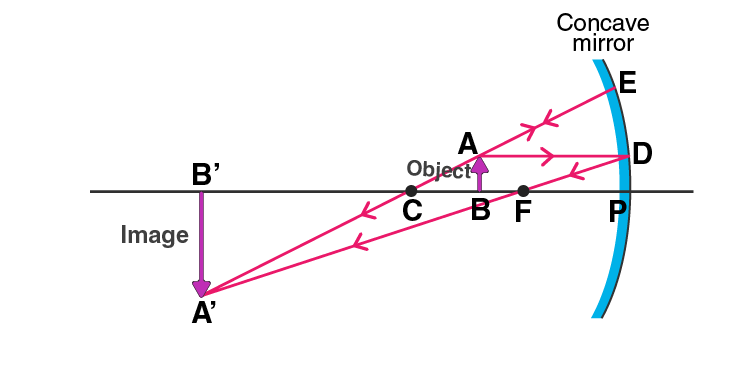 Lakhmir Singh Solutions Class 10 Physics Chapter 4 Reflection of Light-17
