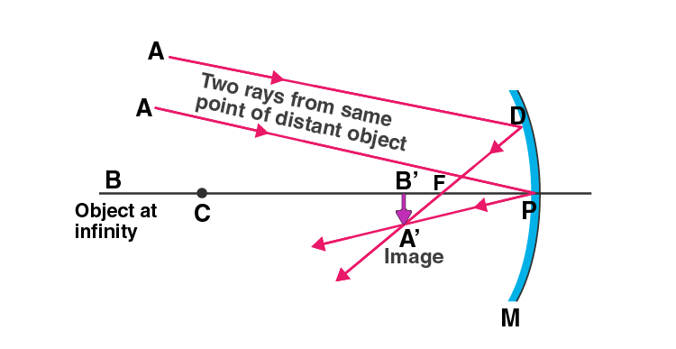Lakhmir Singh Solutions Class 10 Physics Chapter 4 Reflection of Light-2