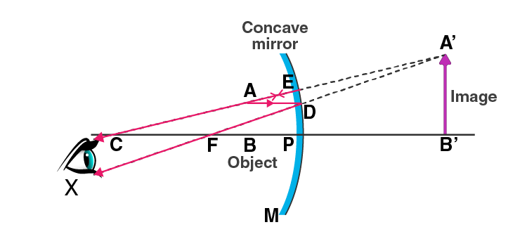 Lakhmir Singh Solutions Class 10 Physics Chapter 4 Reflection of Light-26