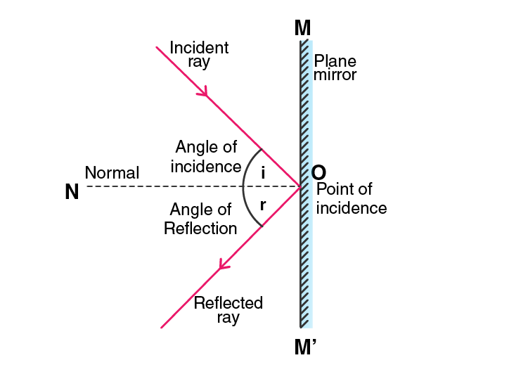 Lakhmir Singh Solutions Class 10 Physics Chapter 4 Reflection of Light-5