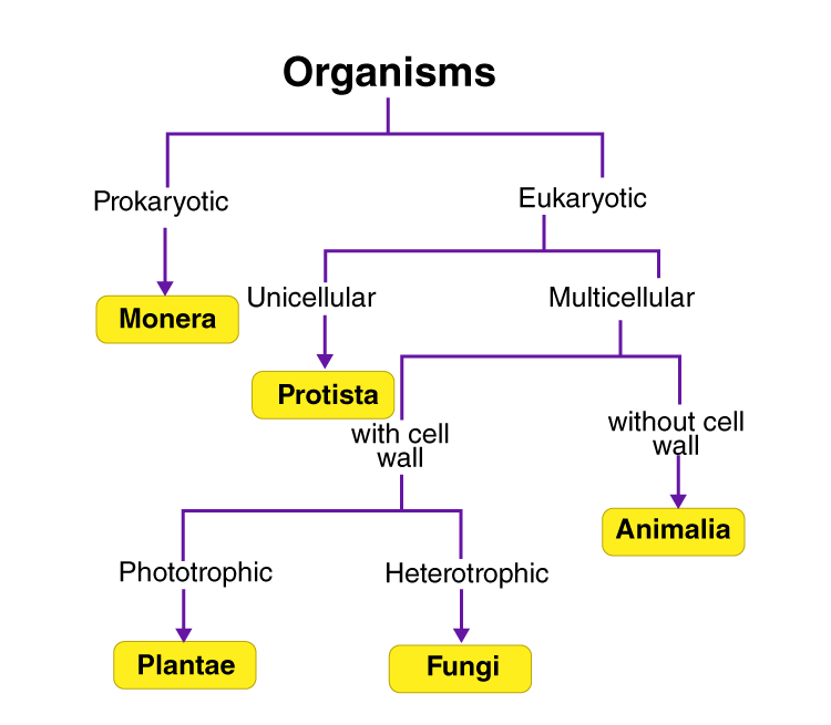 Lakhmir Singh Solutions Class 9 Biology Chapter 4-1