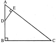 ML Aggarwal Solutions for Class 10 Maths Chapter 13 Similarity Image 65
