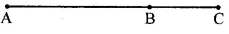 ML Aggarwal Solutions for Class 6 Maths Chapter 11 Image 3