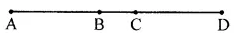 ML Aggarwal Solutions for Class 6 Maths Chapter 11 Image 4