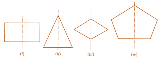 ML Aggarwal Solutions for Class 7 Maths Chapter 14 ML Aggarwal Solutions for Class 7 Maths Chapter 14 Image 8