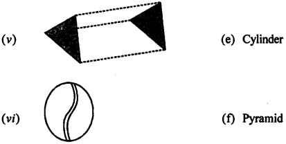 ML Aggarwal Solutions for Class 7 Chapter 15 ML Aggarwal Solutions for Class 7 Maths Chapter 15 Image 2
