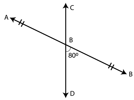 Selina Solutions Concise Mathematics Class 6 Chapter 23 - 56