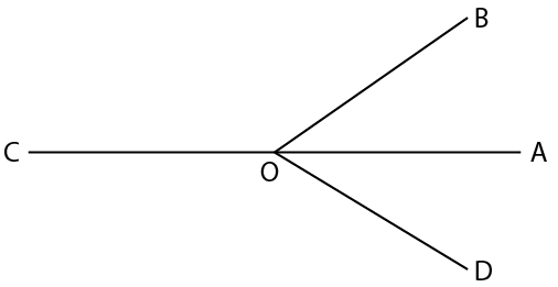 Selina Solutions Concise Mathematics Class 6 Chapter 24 - 7