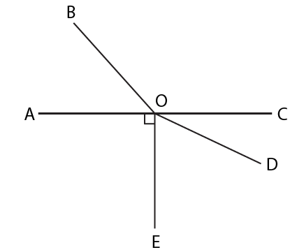 Selina Solutions Concise Mathematics Class 6 Chapter 24 - 9