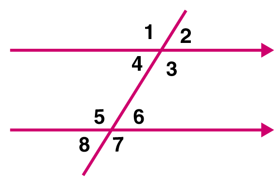 Selina Solutions Concise Mathematics Class 6 Chapter 25 - 16 Selina Solutions Concise Mathematics Class 6 Chapter 25 - 16