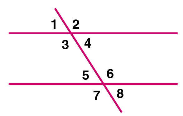 Selina Solutions Concise Mathematics Class 6 Chapter 25 - 8 Selina Solutions Concise Mathematics Class 6 Chapter 25 - 8