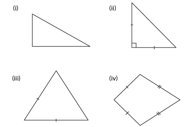 Selina Solutions Concise Mathematics Class 6 Chapter 30 Selina Solutions Concise Mathematics Class 6 Chapter 30 - 3
