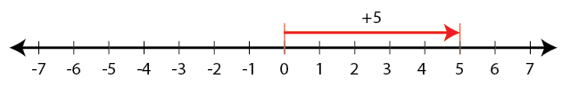 Selina Solutions Concise Mathematics Class 6 Chapter 7 - 8