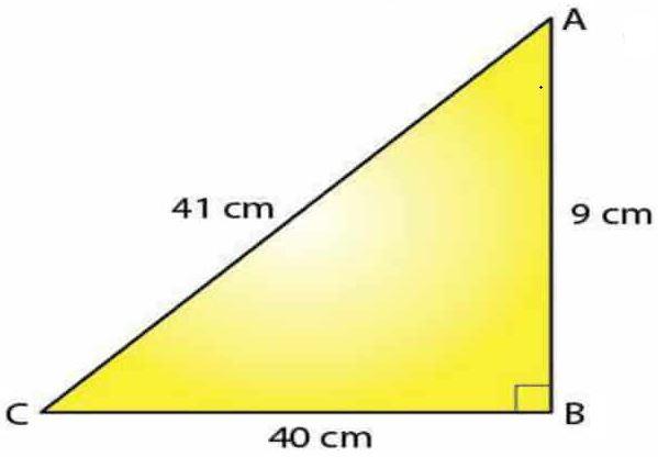 Selina Solutions Concise Maths Class 7 Chapter 16 Image 10