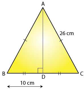 Selina Solutions Concise Maths Class 7 Chapter 16 Image 13