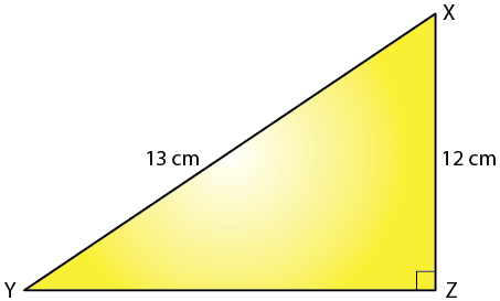 Selina Solutions Concise Maths Class 7 Chapter 16 Image 2