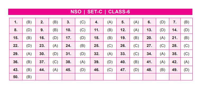 NSO Set-C Answer Key 2022 for Class 6