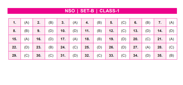 NSO Set-B Answer Key 2022 for Class 1