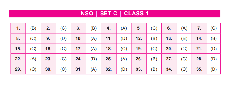 NSO Set-C Answer Key 2022 for Class 1