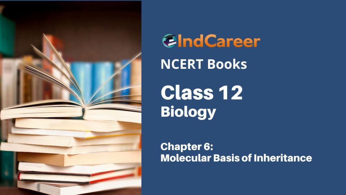 NCERT Book for Class 12 Biology Chapter 6 Molecular Basis of Inheritance