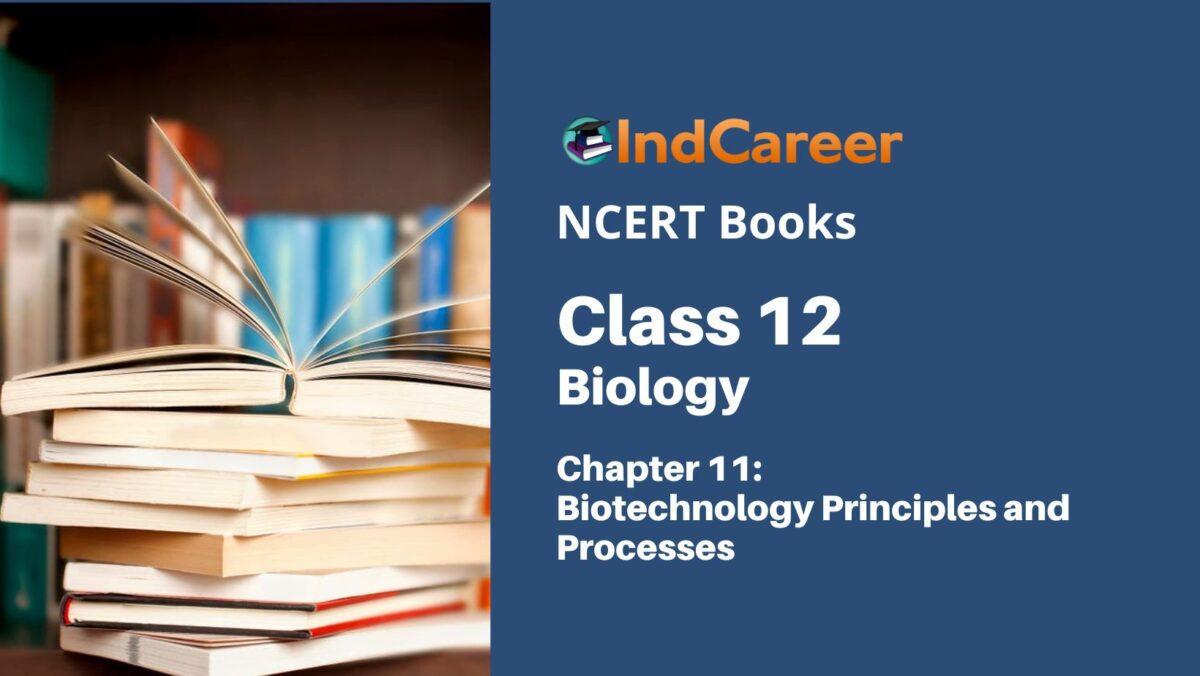 NCERT Book for Class 12 Biology Chapter 11 Biotechnology Principles and Processes