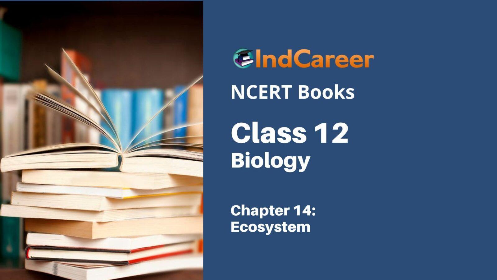 NCERT Book for Class 12 Biology Chapter 14 Ecosystem