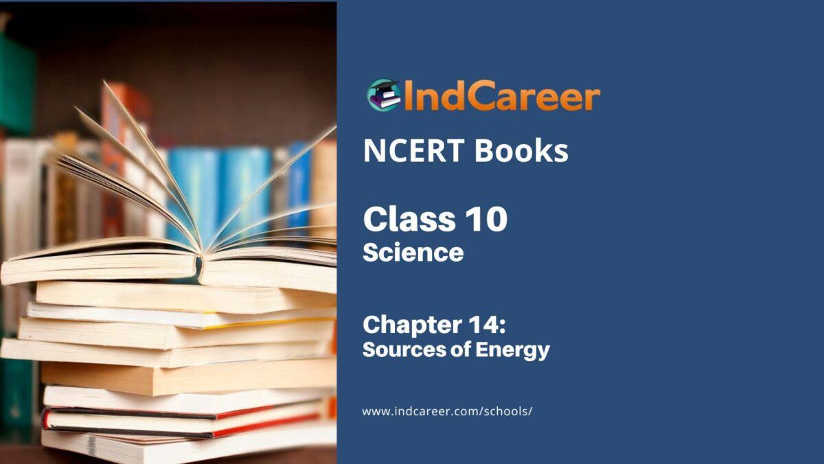 NCERT Book for Class 10 Science Chapter 14 Sources of Energy