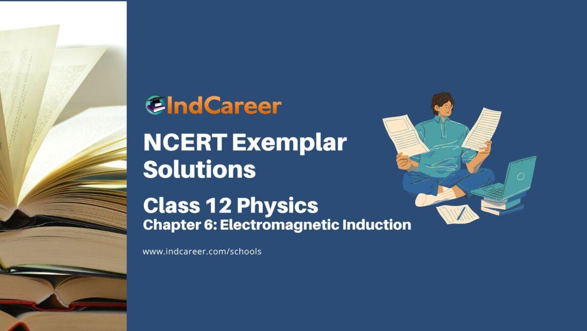 NCERT Exemplar Class 12 Physics Chapter 6: Electromagnetic Induction
