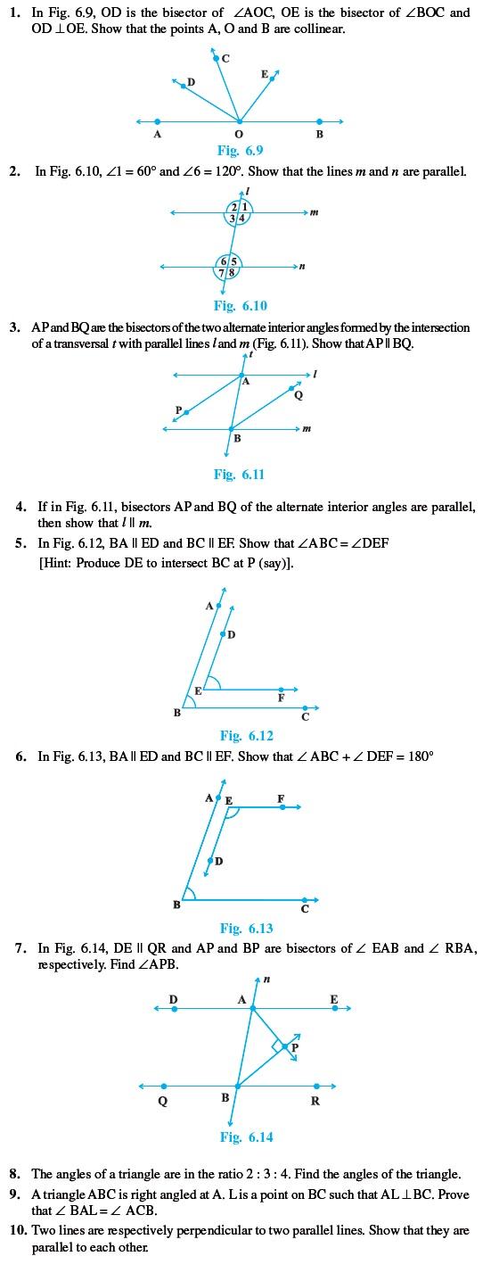 Class 9 Important Questions for Maths - Lines and Angles