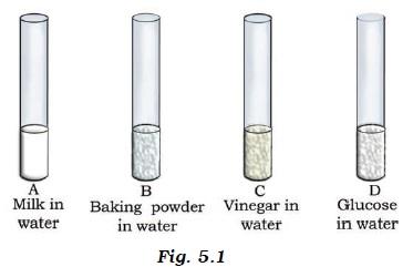 Acids, Bases and Salts