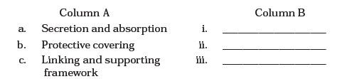 Structural Organisation in Animals