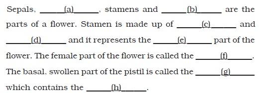 Class 6 Important Questions for Science – Getting to Know Plants