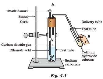 Carbon and Its Compounds