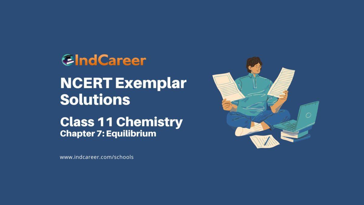 NCERT Exemplar Class 11 Chemistry Chapter 7: Equilibrium
