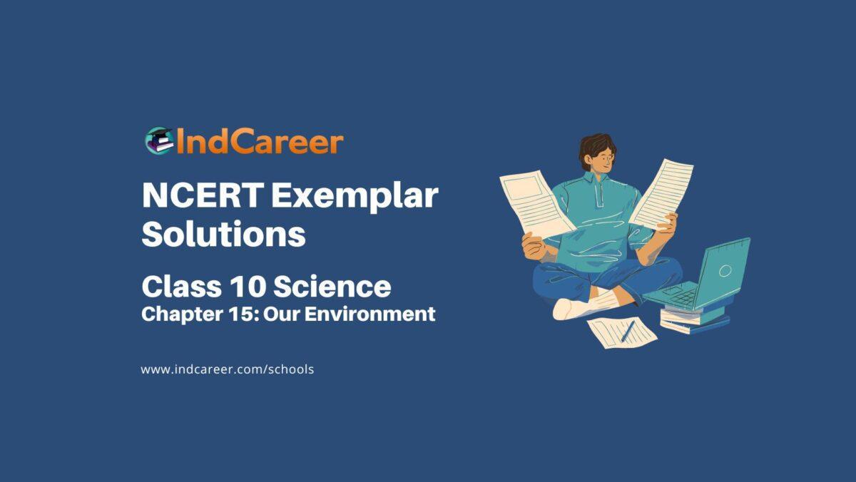 NCERT Exemplar Class 10 Science Chapter 15: Our Environment