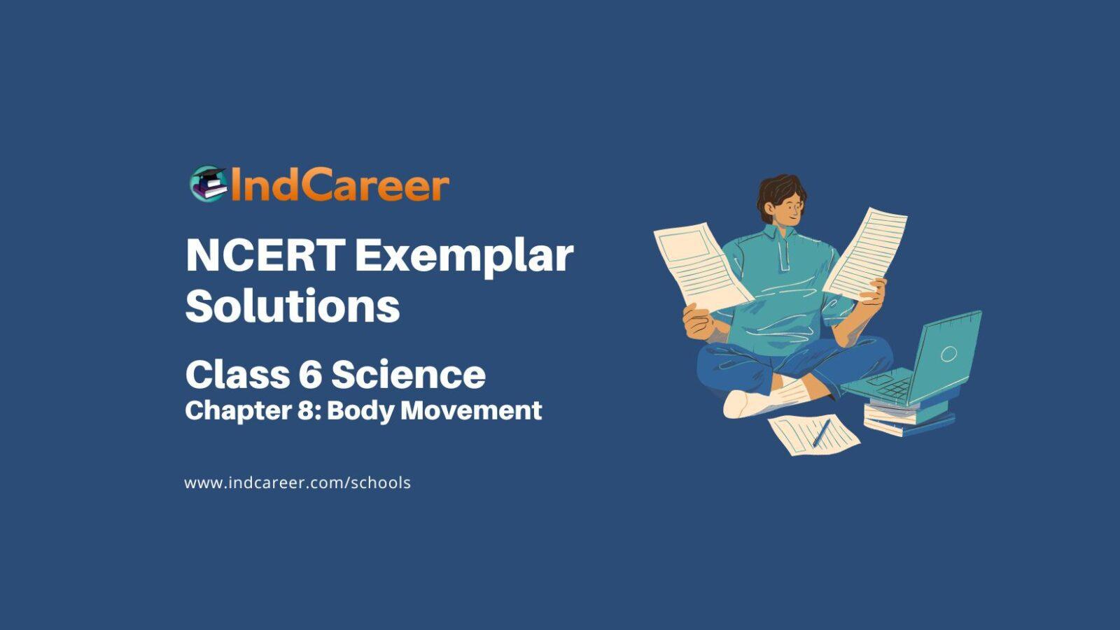 NCERT Exemplar For Class 6, Science Chapter 8 - IndCareer Schools