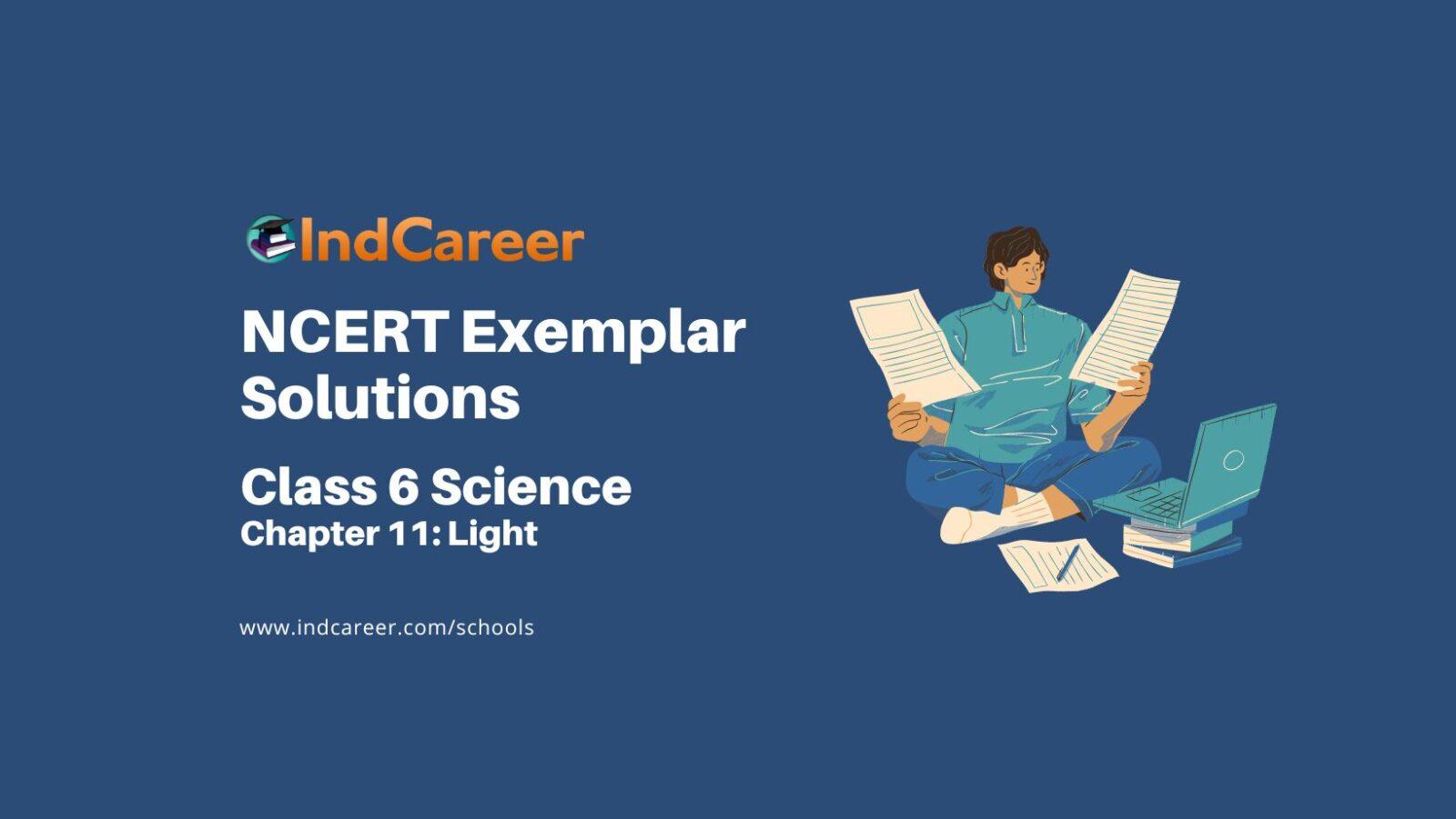 ncert-exemplar-for-class-6-science-chapter-11-indcareer-schools