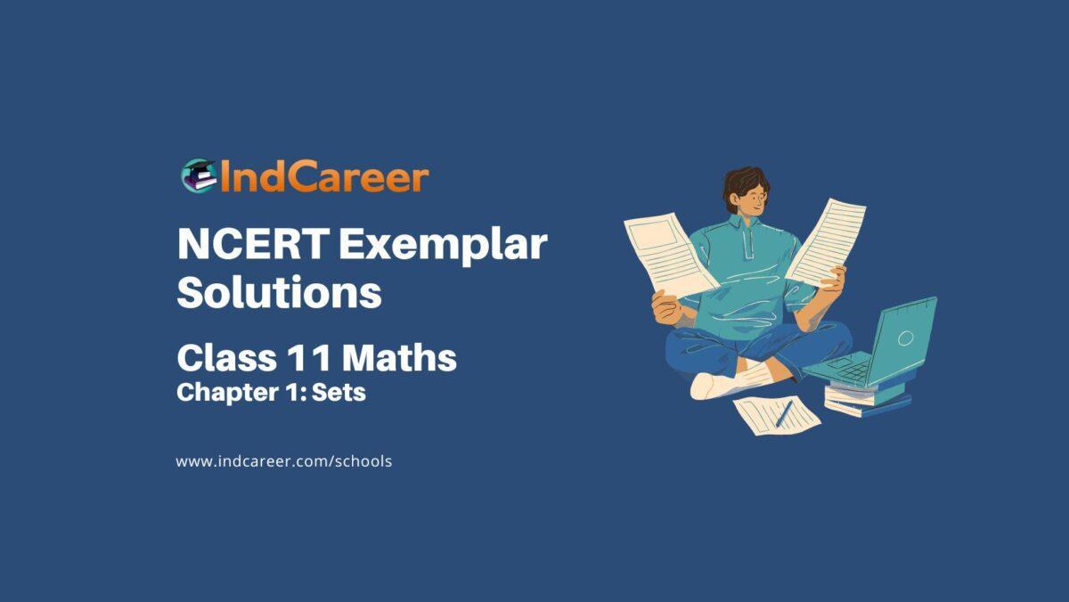 NCERT Exemplar Class 11 Maths Chapter 1: Sets