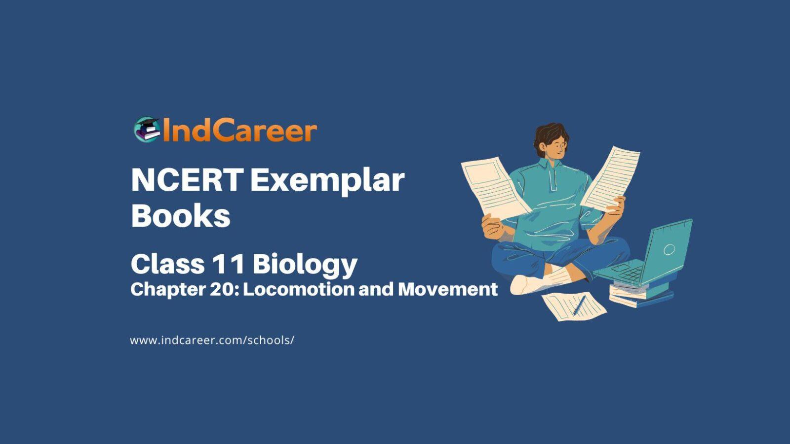 ncert-exemplar-book-for-class-11-biology-chapter-20-locomotion-and-movement