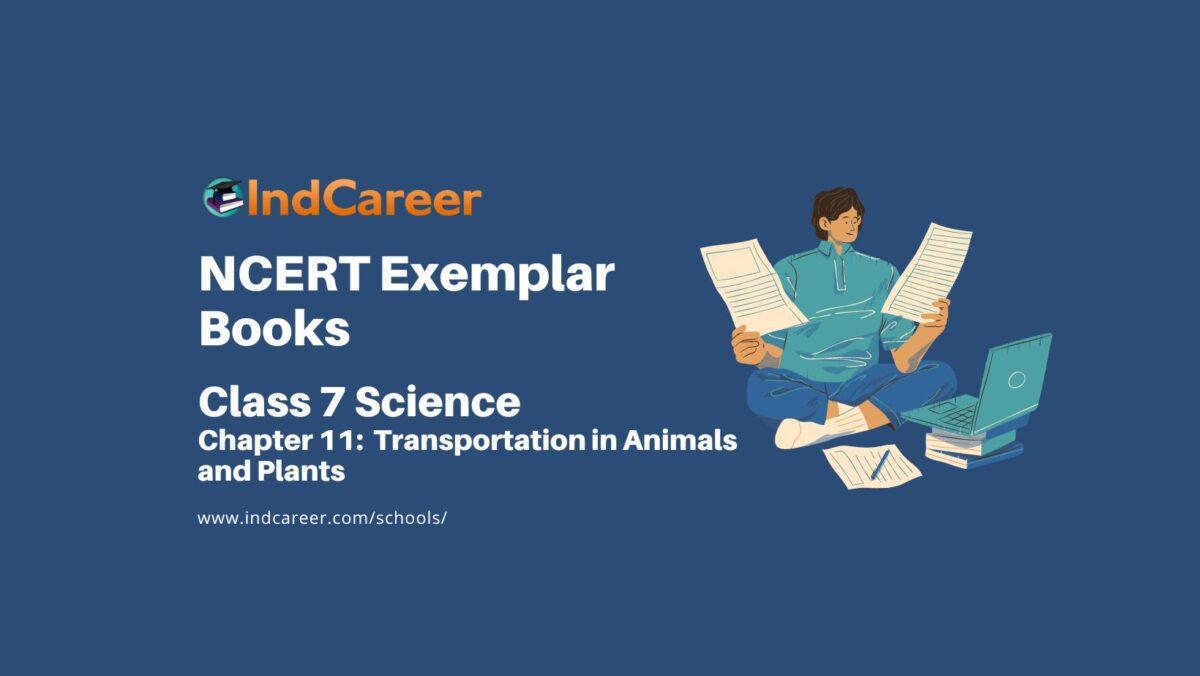 NCERT Exemplar Book for Class 7 Science: Chapter 11-Transportation in Animals and Plants