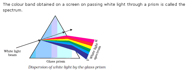 Frank ICSE Class 10 Physics Solutions Light 25